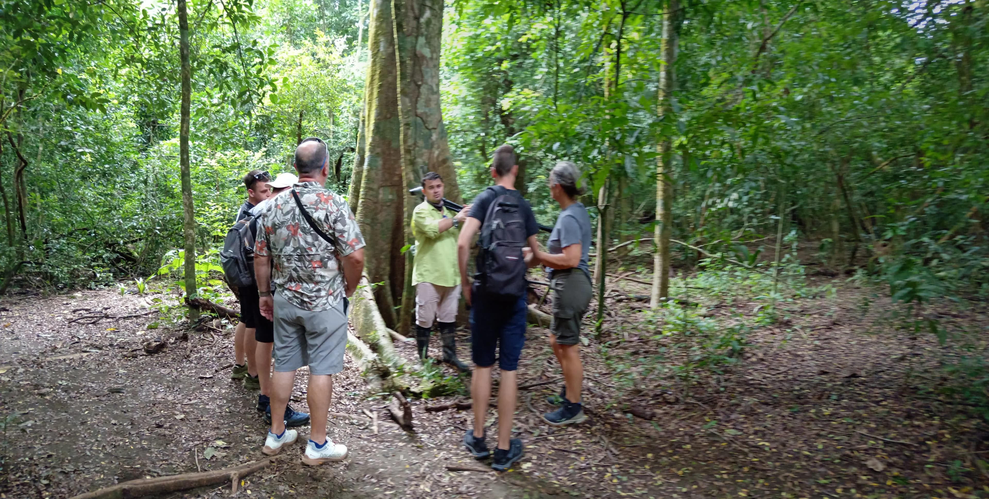 A hiker looks out over a lush, green valley in a national park.